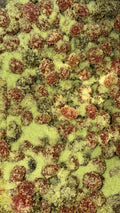 Green Apple Gushers