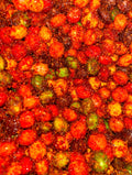 Chamoy Skittles